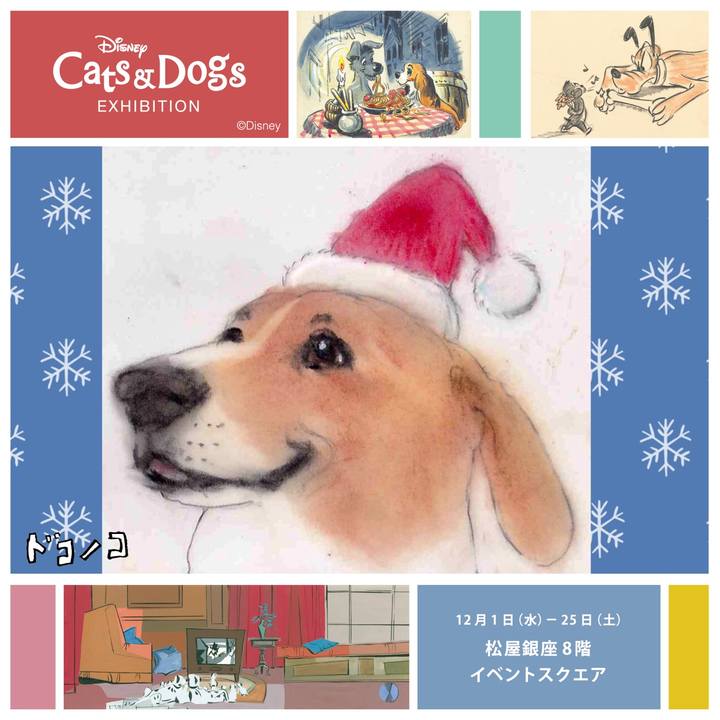 303332b6 576d 4a6b 9417 d6e41de510c4 1638406317584