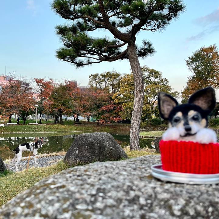 30335bc9 2cc0 4a59 a12d 3dc18e2fbb78 1668816754117