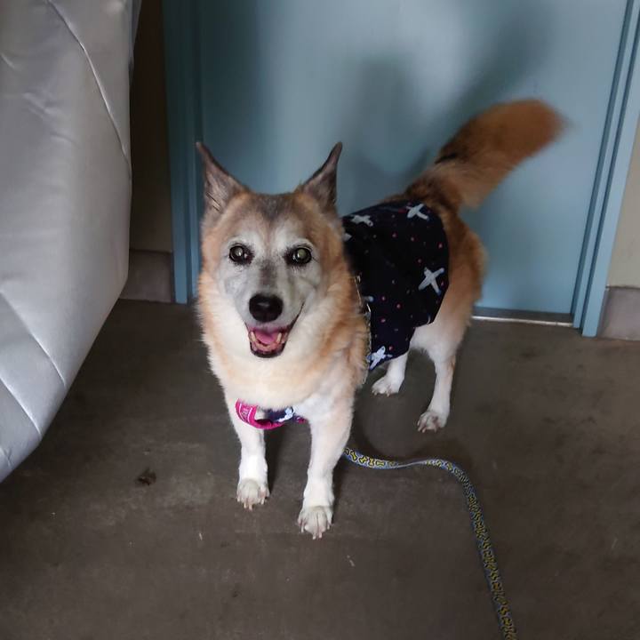 3033682d ed28 419e 9b3b 44e440ea83ef 1729859039008