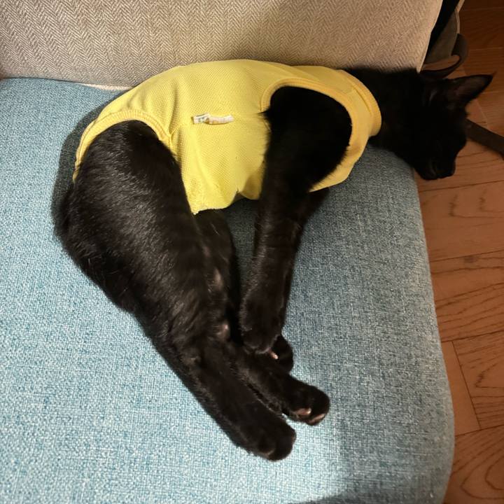 30338497 9157 48ad 9e30 0515a3d787eb 1728102172554