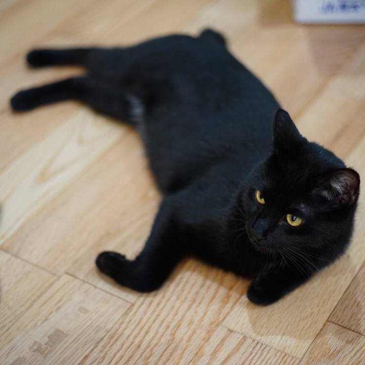 303385e3 e913 44d2 b336 cdbdfe192be4 1520897565893