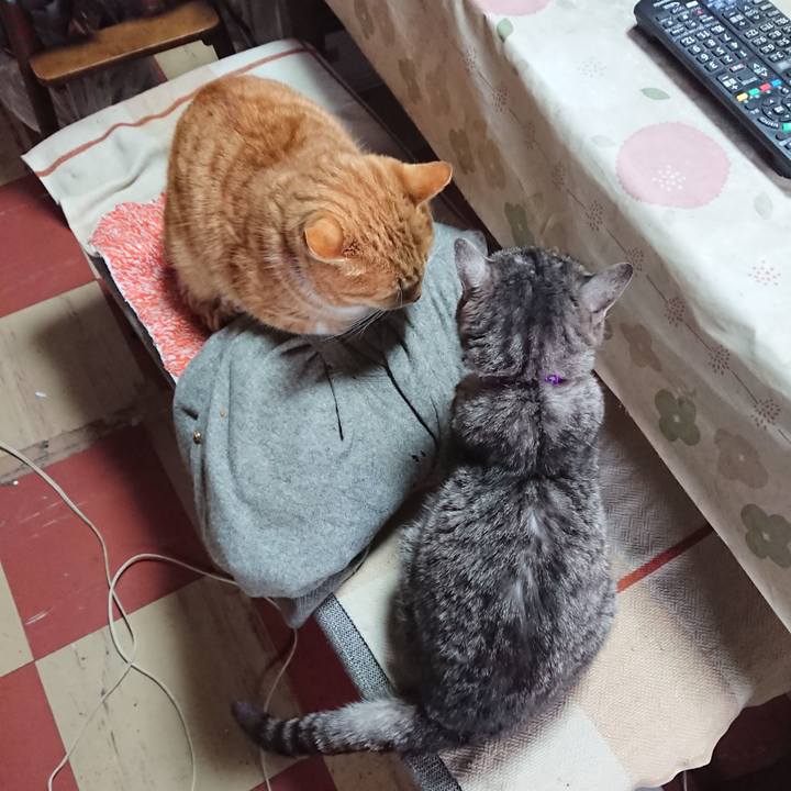 3033a452 a3b8 409e a02e 4a540cabdc03 1577934348915