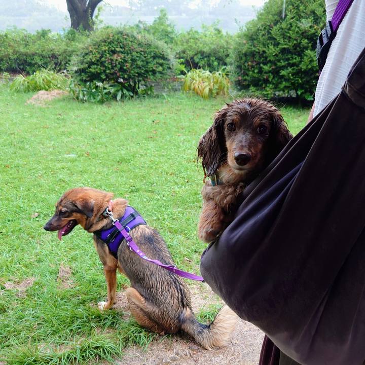 3033cb15 bc37 4a01 ab6c 234de8fb6203 1696034744451