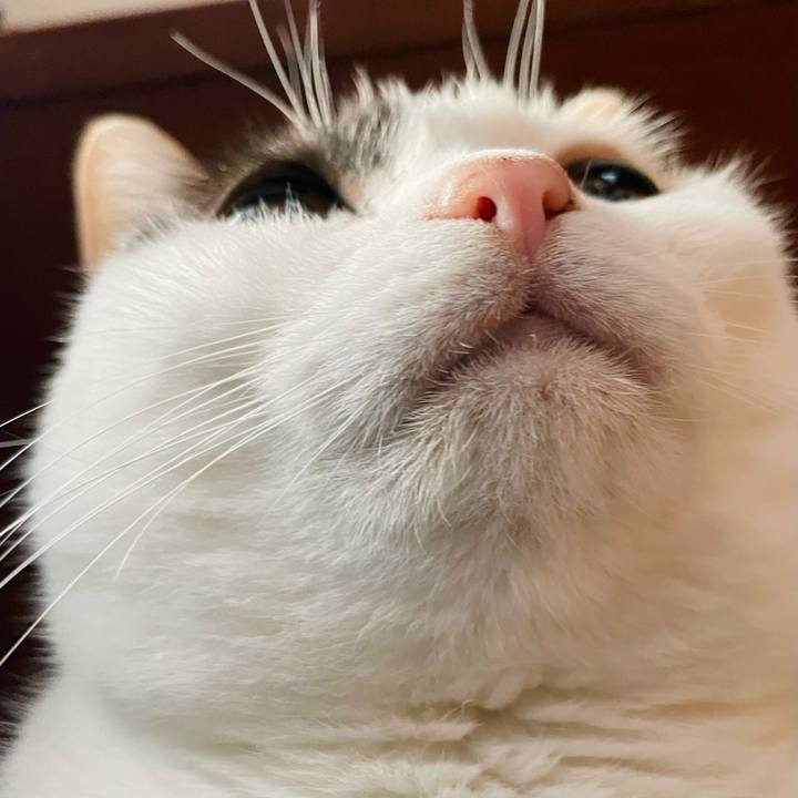 3033d67d 3231 4f81 97c3 8a2a8f52ef16 1637030214934