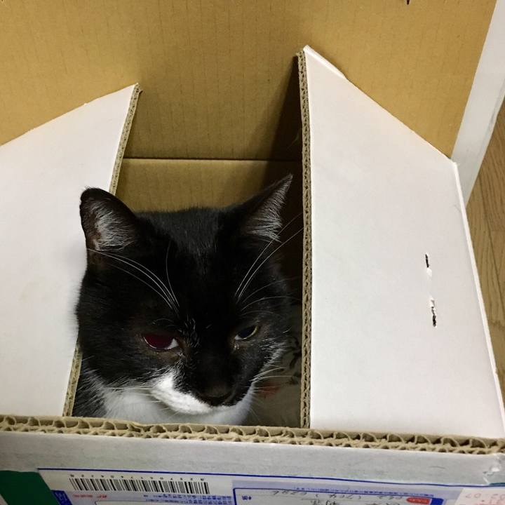 3033ef43 652e 4bb3 983d ffff1f4c5771 1550739399938