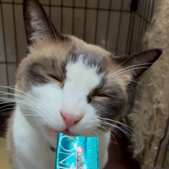 303404e1 7963 41c7 adb5 68beef6ceb9e 1754567498559