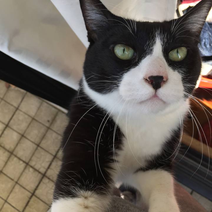 30341b1b ed71 4c46 b1fe a2d105b262a8 1511438275283