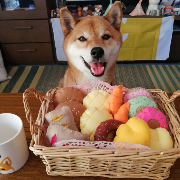 30343bf4 4127 4ef0 9076 3cd4e8e56bdc 1588303369326