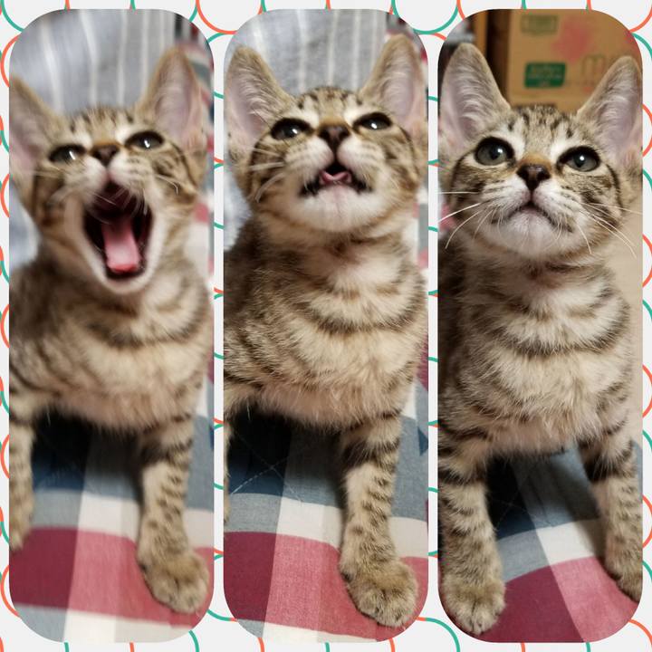 3034581a 7c76 4ce2 9311 c82bc5a93ee7 1535462250569