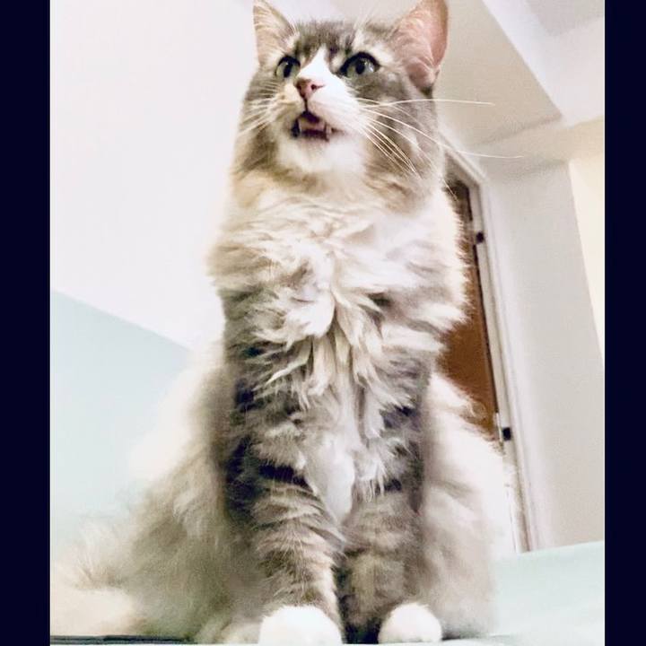 303469ef cf8c 45cc bda5 47b3d3746e45 1628096201088