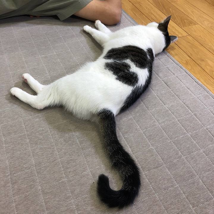 30347c9f 13ab 45aa 89d8 64983e7bf53b 1655472572340