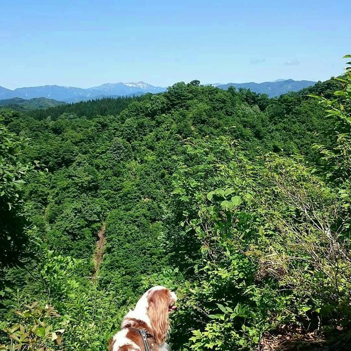 303490b7 23c8 44e9 8c6a 14f21d47acc9 1526813467457