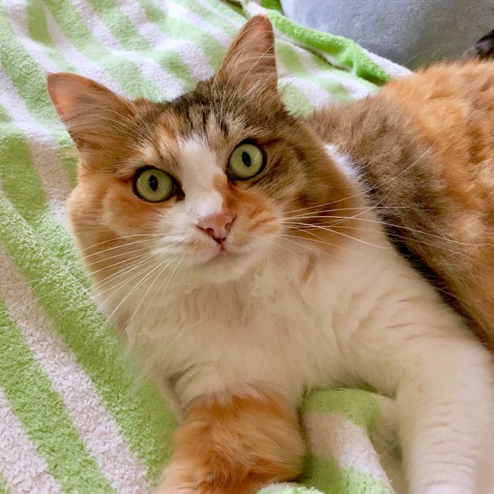 30349edd c6a2 4863 9604 e94c1775ee6d 1565839799278