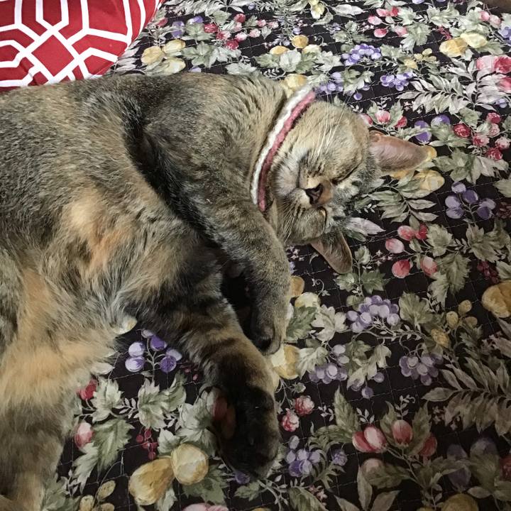 3034a16b 4931 4e49 a905 6940ecdbb3f9 1624313070864