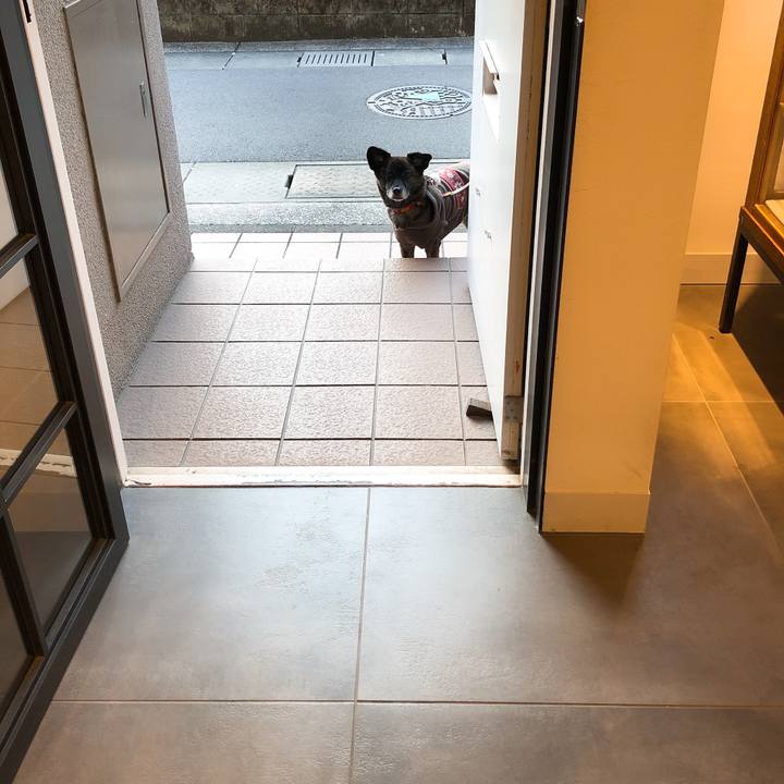 3034a720 fb06 46ce 83dc 168c7665e84c 1575813662140