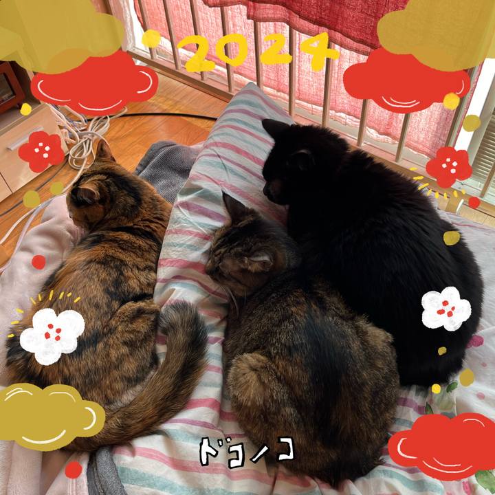 3034b325 6497 4627 808d 9e16e03c68b7 1704411492197