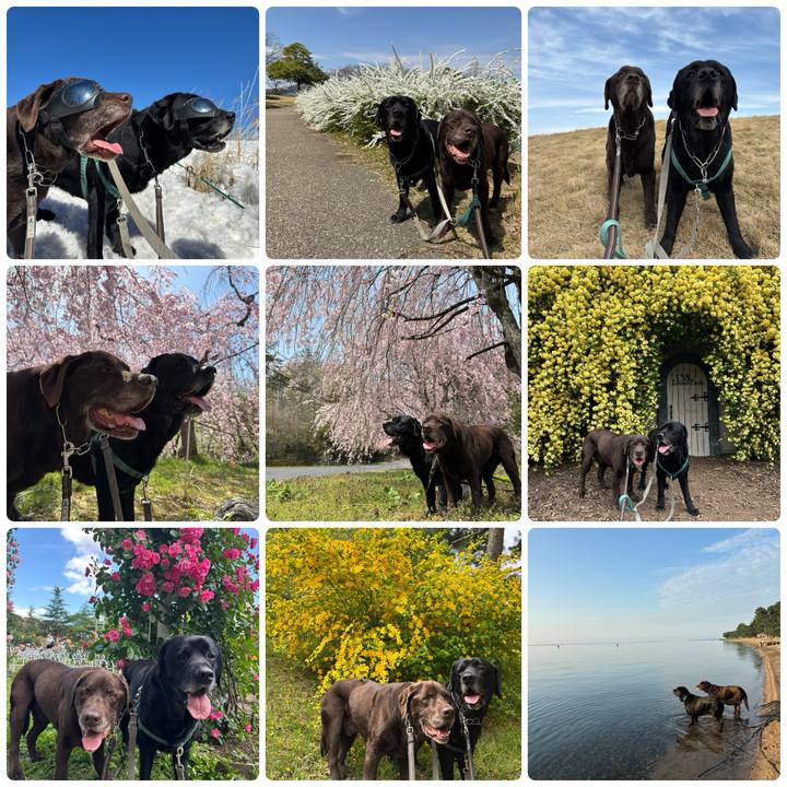 3034c450 5a32 4870 a43f 0b2e017978e3 1767100493868