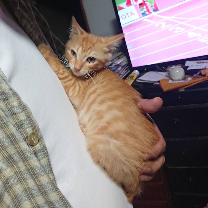 3034e402 966b 4937 a8f4 a9a9b64ca8da 1630240233299