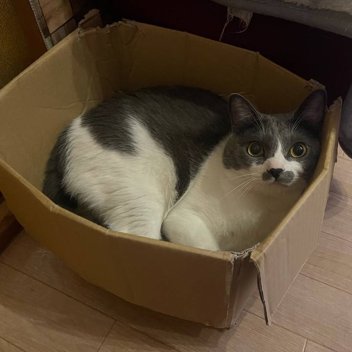 30353283 db1a 43e6 9b9b 6ab60bfc815e 1628676491419