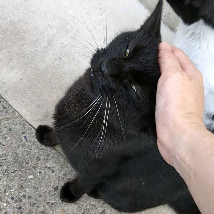 30353a2c 5c0b 419a 89b9 4538ef40469b 1596358620679