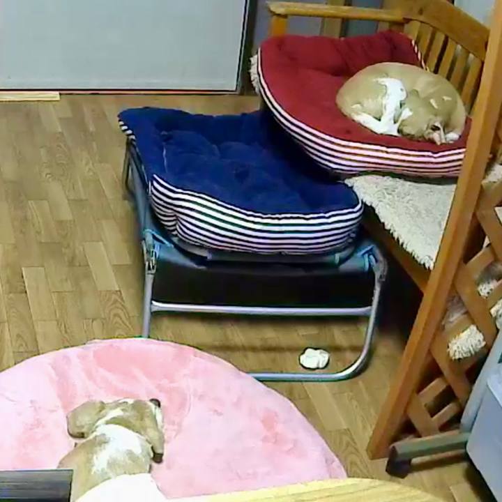 3035a2e8 eba5 43a9 b0c0 4d76623d7b96 1583645588356