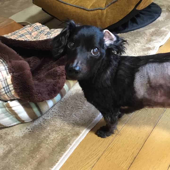 3035b98d cbd5 4c73 81e7 9cb61c8c6f3a 1551653647313