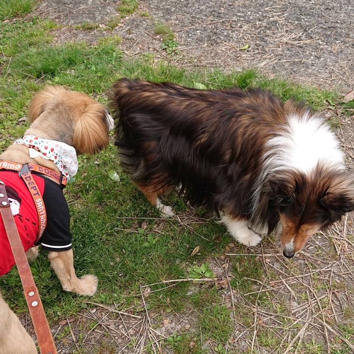 3035c8ed ea7f 48fa a7f7 8a5007e68e7f 1555213253247