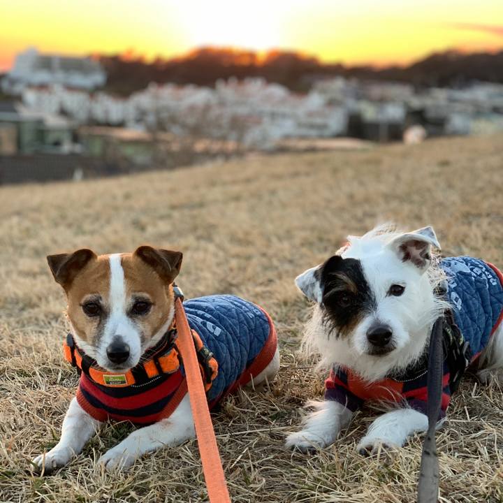 3035c9be e37c 4bf9 9f0d 4bb74c60f57e 1612082831807