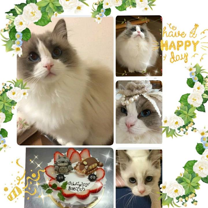 3035f886 c50b 49b9 875d 38d530cb2847 1537256078327