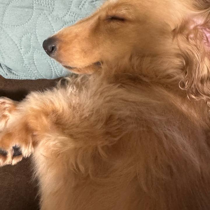 303611e8 8775 4e06 8d0c 5eb7704ab95a 1728128504688