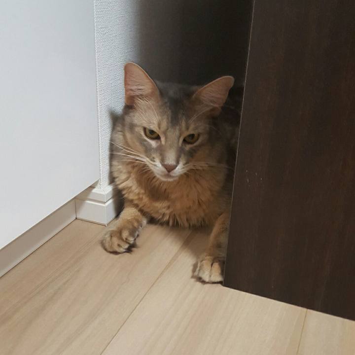 30362968 2725 4369 99c5 f90b97431d01 1538915007890