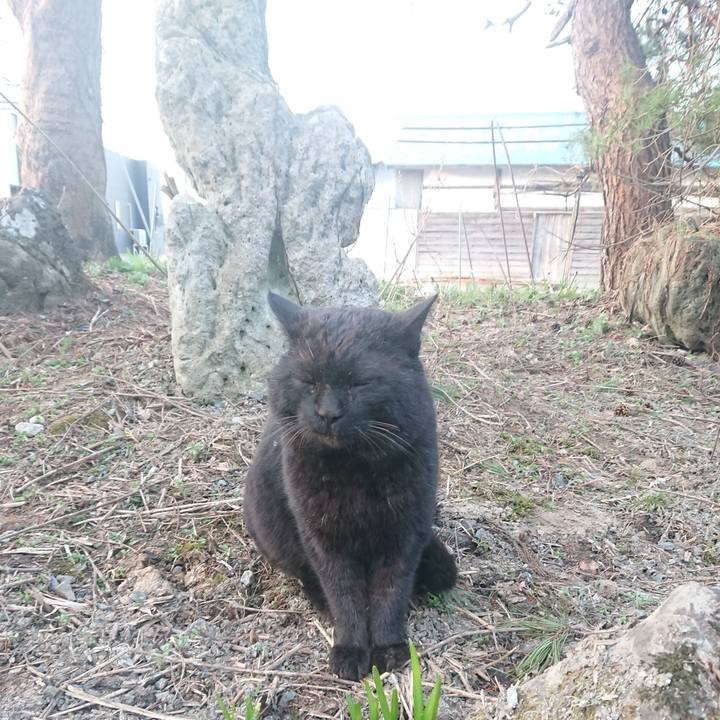 30363070 9c45 4728 9052 f5a934010210 1649798583738