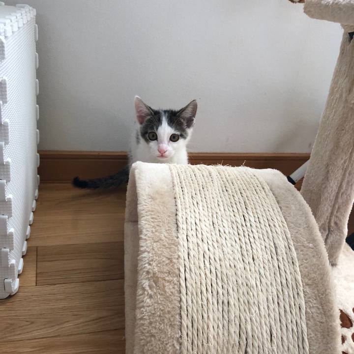 303645be 400c 457a be07 acdc647a1992 1562230407547