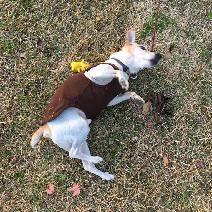 30365944 fd84 4727 bcf1 67e5e479a42c 1514162868090