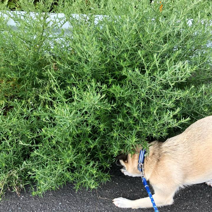 3036653f 7dfb 4c55 8f6b 3f087899ade1 1535545595189