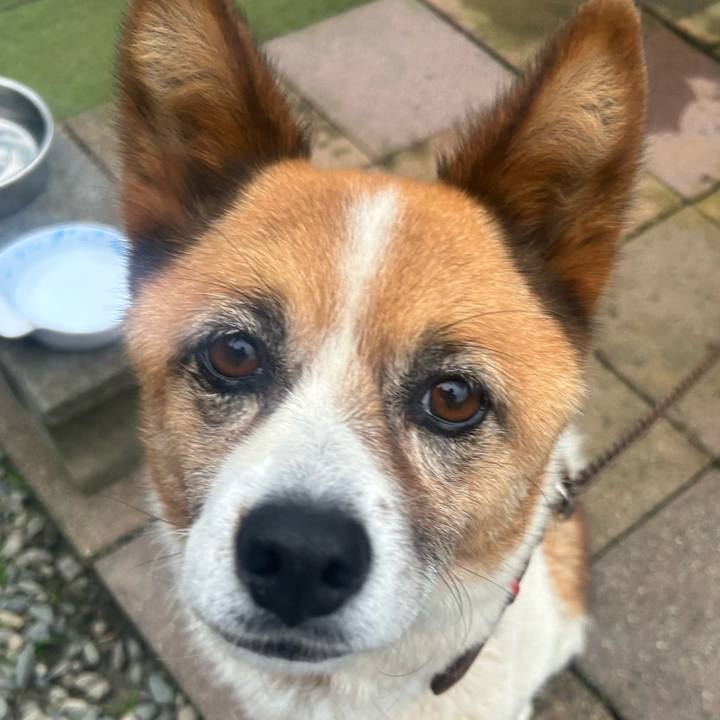 30367d12 b740 419a ba4e e0ac03fa6984 1760915590185