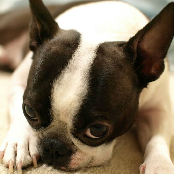 30368ebe d705 4220 bcd9 1f8d7486eb61 1524895075648