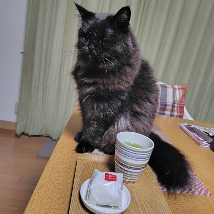 303696c3 4162 46d4 abef 2dbb1c93db4f 1773487777193