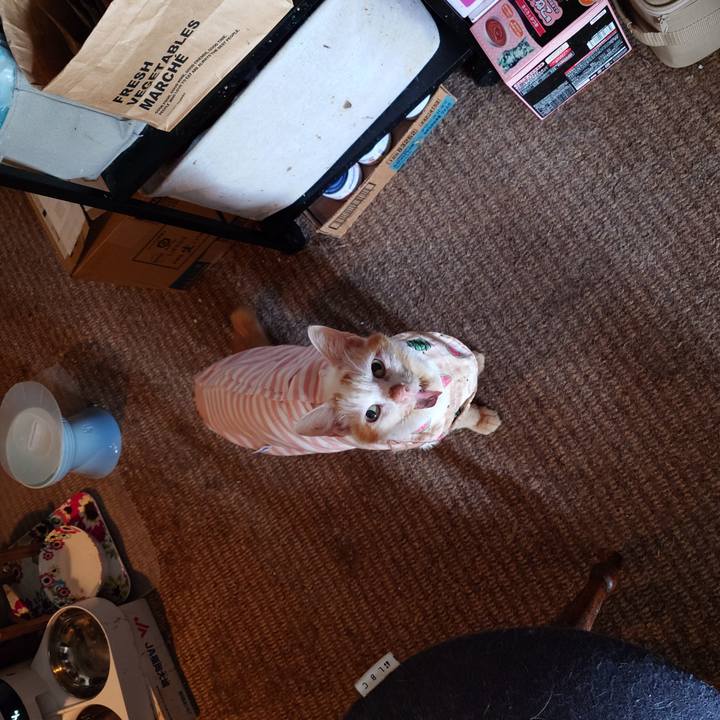 30369cce 1a63 40a0 9ef5 4af7d25f259b 1769563069553