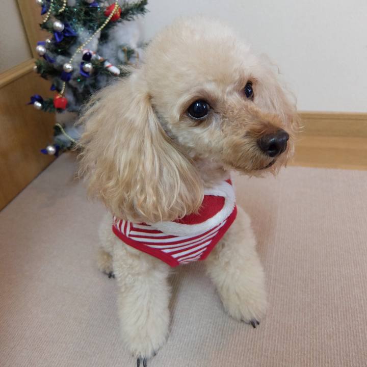 3036c4e0 0390 442a b3d9 ae9ffbc60b27 1576994988619