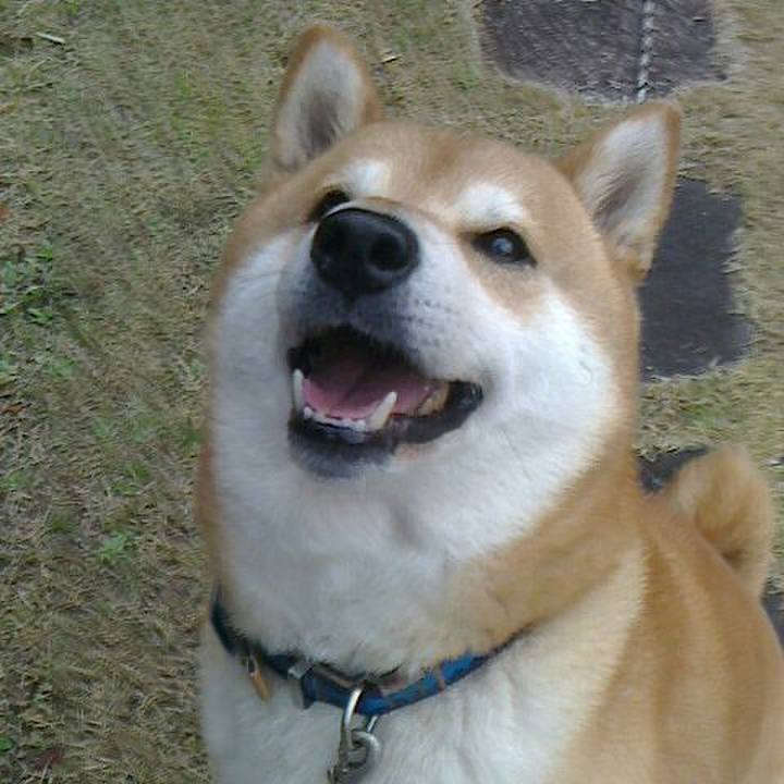 3036e046 3928 4ca8 8e9b 2b3e2ae20c8d 1552812298043