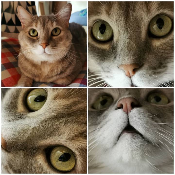 3036e770 ffd0 4fc9 8c6b a9c4f3ee5a95 1666671133980