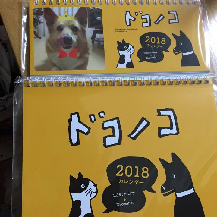 3036f265 c9be 457f baf2 6d5c57a2ca6a 1510906091470