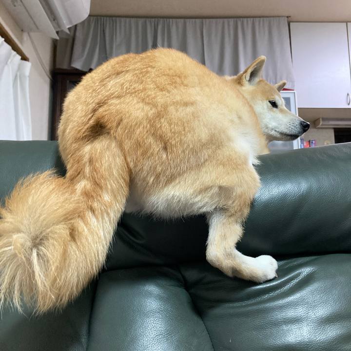 30374270 7c90 4400 8e37 6e468d5681dd 1612224274465