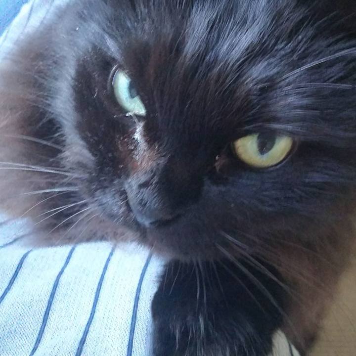 30379942 efa6 4803 8b51 c8b9138c781f 1538897498777