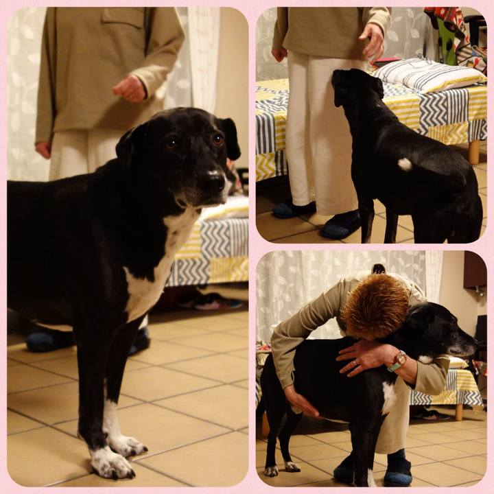 30379fd6 b63d 42a7 8bce 66e7d019b228 1732713199991