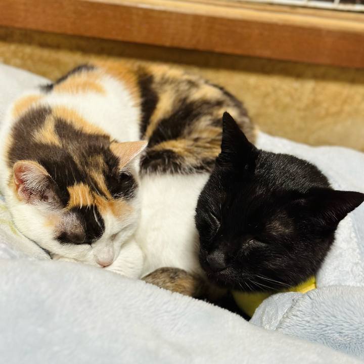 3037a338 4764 468f 9c2e 5fb134beb107 1715736374456