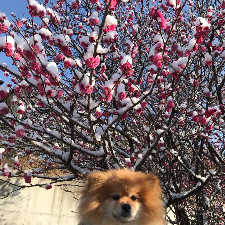 3037a3cd 418a 4e4b adfb e76cfeea5199 1549761890988