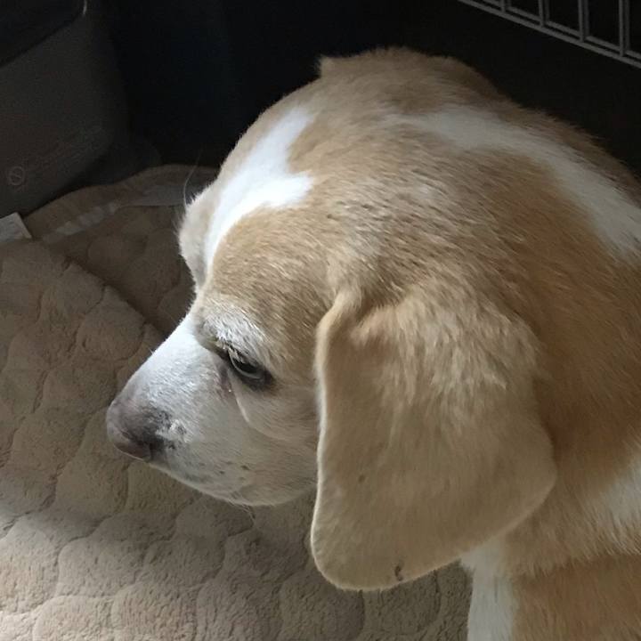 3037a4b8 c1de 4dd4 9baa 6986a6a9c391 1556405424981