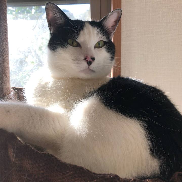 3037b5b0 93f6 4bd8 bda1 ef1518ff73b0 1556437659932